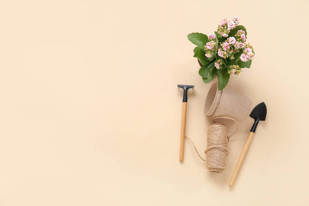 Кастрюли с растительными и садовыми инструментами на бежевом фоне - Фото, изображение