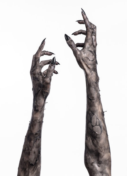 black hand of death, the walking dead, zombie theme, halloween theme, zombie hands, white background, isolated, hand of death, mummy hands, the hands of the devil, black nails, hands monster - Φωτογραφία, εικόνα