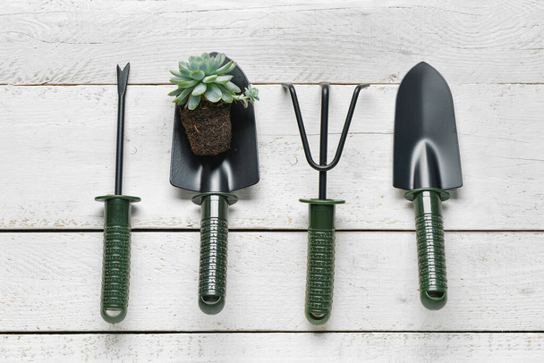 Gardening rake, weeder and shovels with plant on white wooden background - 写真・画像