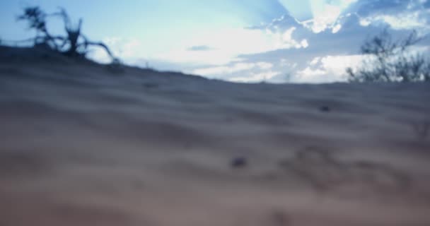 Close-up of a sand dune with grass against a cloudy sky at sunset. Real Time, 4k. - Footage, Video