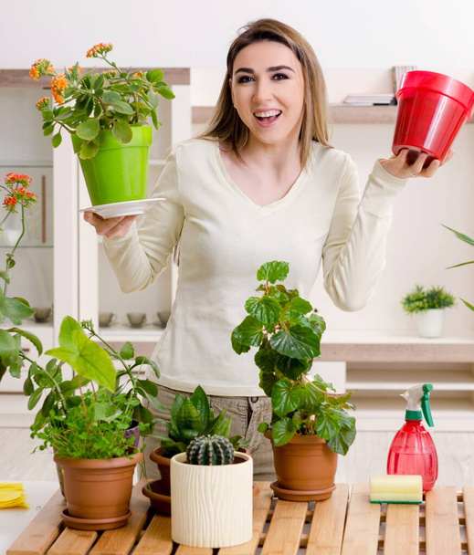 The young female gardener with plants indoors - Foto, Imagen