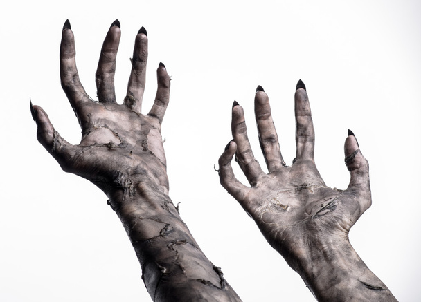 black hand of death, the walking dead, zombie theme, halloween theme, zombie hands, white background, isolated, hand of death, mummy hands, the hands of the devil, black nails, hands monster - Foto, afbeelding