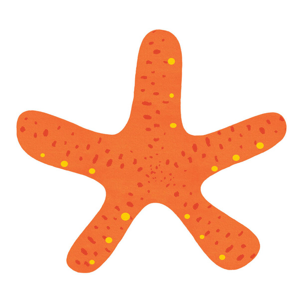 A cartoon starfish isolated on white background in a Summertime at the sea theme, element illustration - 写真・画像