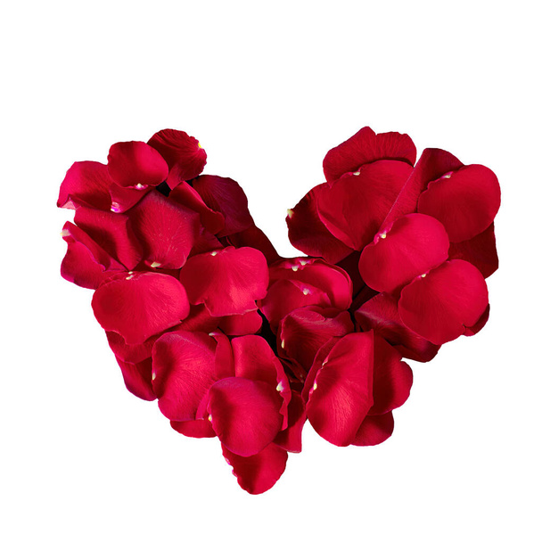 Heart of Rose Petals. Heart Made From Red Rose Petals Isolated on White Background. - Фото, зображення