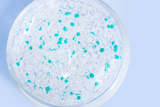průhledný gel s peletami v Petriho misce. Na modrém pozadí. - Fotografie, Obrázek