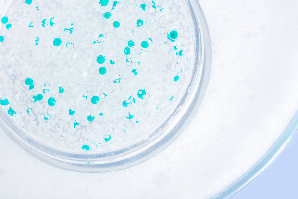 průhledný gel s peletami v Petriho misce. Na modrém pozadí. - Fotografie, Obrázek