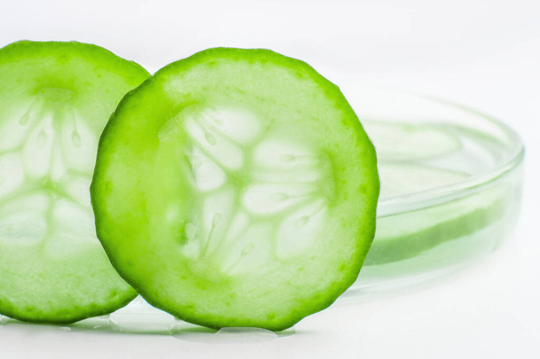 Thinly sliced slices of fresh green cucumber against a Petri dish. - Photo, Image