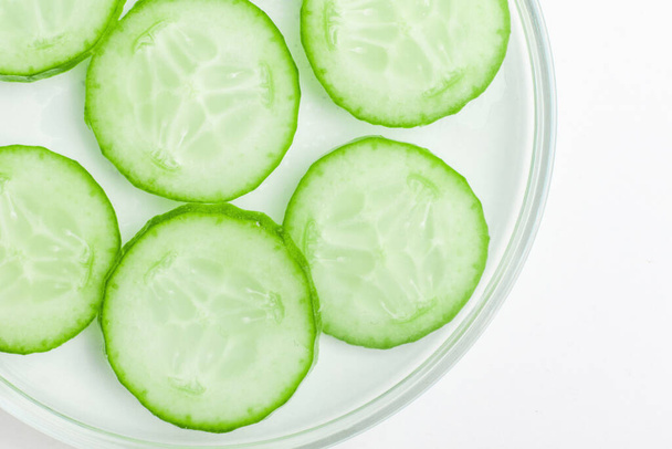 Thinly sliced slices of fresh green cucumber in a Petri dish. - Photo, Image