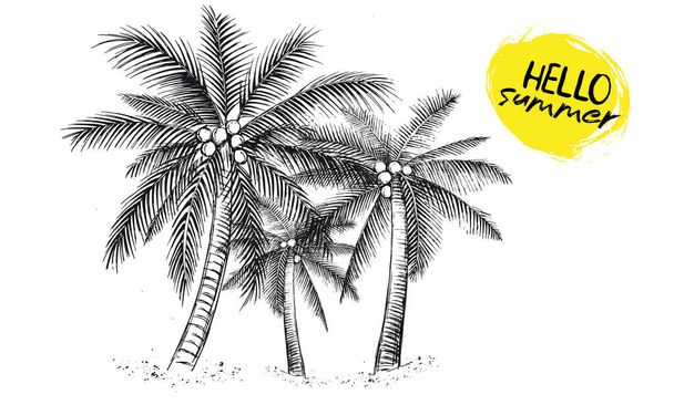 Merhaba Summer, palmiye ağacı, bardak, ananas. El çizimi illüstrasyon. - Vektör, Görsel