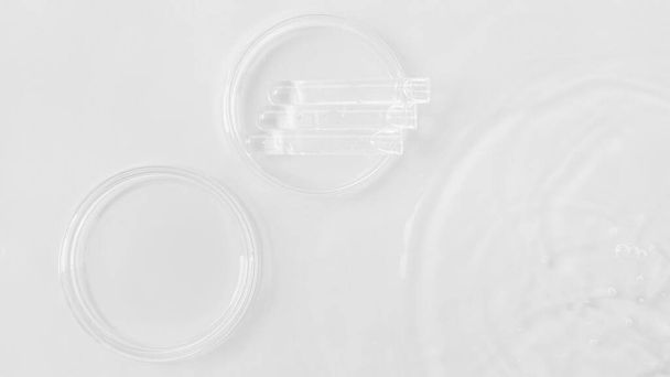 utensilios de laboratorio en agua. Vista superior. Placas Petri, tubos de ensayo. - Foto, imagen
