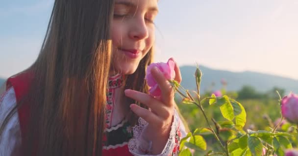 Bulgarian beautiful girl in ethnic folklore clothing breathing fresh aroma of oil bearing Rose Damascena at sunrise at Rose valley. Nature of Bulgaria - Footage, Video