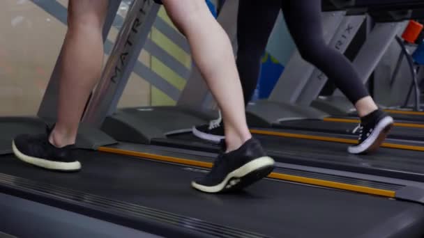 Closeup leg of people workout with walking and exercise on machine treadmill together in fitness gym sport club, man and woman cardio with training jogging, healthcare and motivation. - Footage, Video