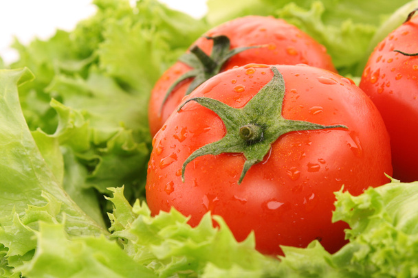 Red tomato vegetables on the green salad background - Fotoğraf, Görsel