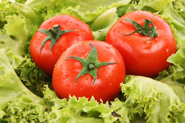 Red tomato vegetables on the green salad background - Valokuva, kuva