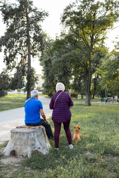 old couple walking with a little dog on a path in a park by the seaside. elderly couple in love in Ukraine in spring - Foto, imagen