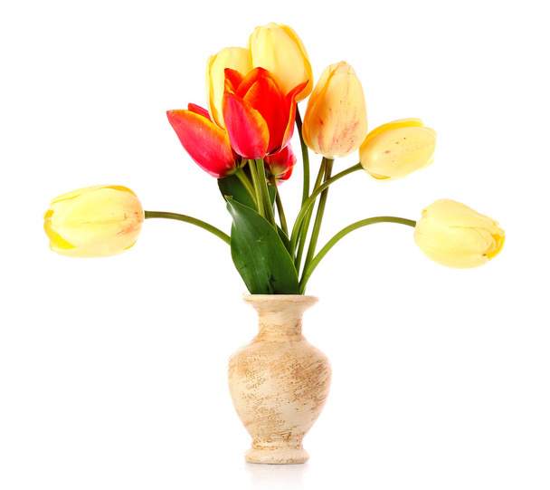 Isolated tulips in a glass vase - Fotoğraf, Görsel
