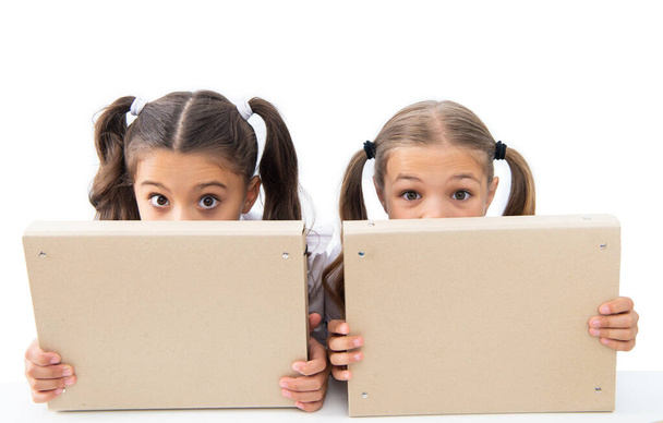 ready for school lesson. two girls in school class. education and knowledge. girls holding folder. high school education. school education for girls. children girls on desk. hiding behind the folder. - Foto, Bild