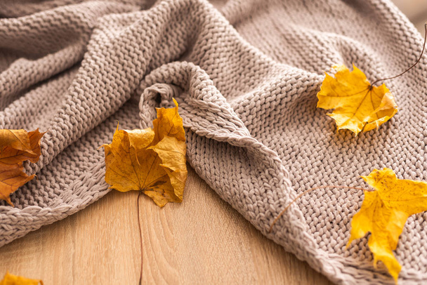 Autumn composition. warm knitted plaid, yellow leaves on white wool background. Autumn, fall concept. Flat lay, top view, copy space - Foto, Imagen