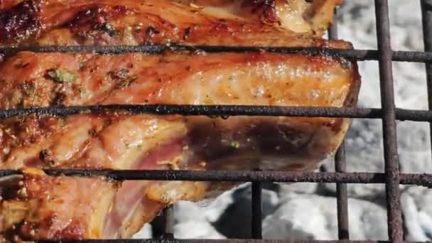 Proces van het koken van vlees in rooster op vuur close-up - Video