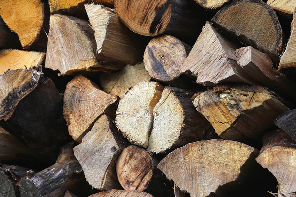 Firewood for heating. Wood as a solid fuel. Cylindrical timber from oak and other species. Concept: gathering firewood for heating the room for the winter. - Foto, Imagem