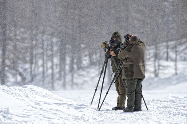 Fotografowie pod śniegiem - Zdjęcie, obraz