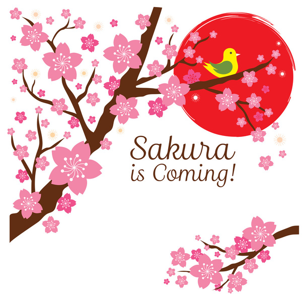 Třešňové květy nebo Sakura květiny s ptákem na větvi - Vektor, obrázek