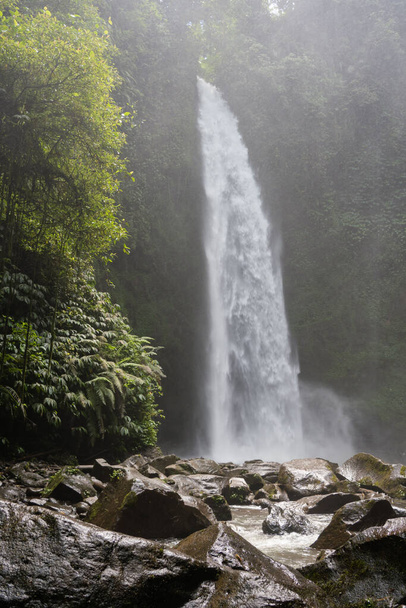 Bali jungle waterfall near Ubud, Indonesia. - Фото, зображення