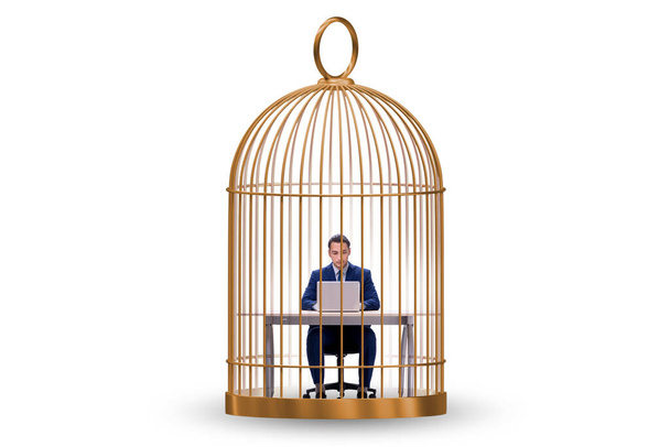 Businessman caught in the cage in business concept - Foto, afbeelding