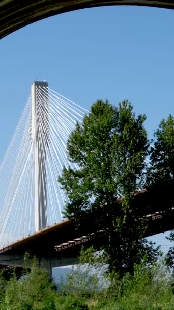 Port Mann Bridge over the Fraser River. Sunny Summer Surrey, Vancouver, British Columbia, Canada 2023 - Footage, Video