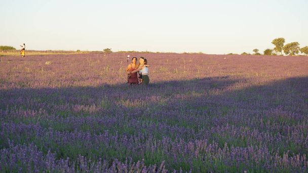 Brihuega, Guadalajara, Spain, JULY, 14, 2023: Blooming lavender fields in the town of Brihuega, Guadalajara - Foto, afbeelding