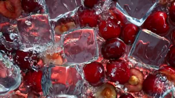 Super Slow Motion Shot of Water Wave Splashing on Cherries and Ice Cubes à 1000ips. Filmé avec caméra de cinéma à grande vitesse en 4K. - Séquence, vidéo