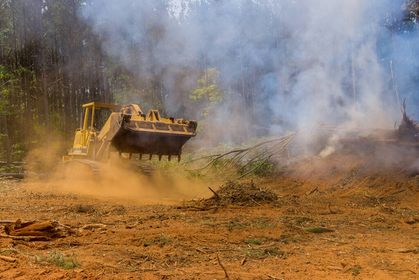 Brûler des arbres déracinés sur la terre avant qu'elle ne soit préparée pour la construction - Photo, image