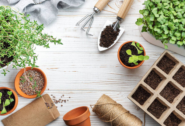 Концепция садоводства, посадка дома. Комплект садовых инструментов и принадлежностей для посева семян - Фото, изображение
