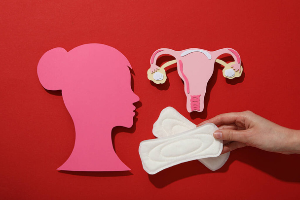 Silhouette féminine rose de profil avec produits d'hygiène menstruelle - Photo, image