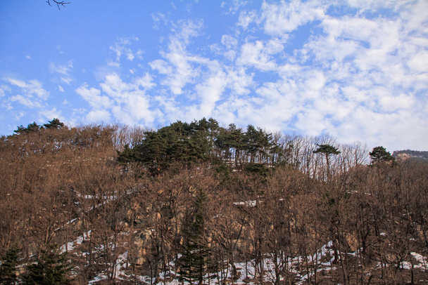 The view of Seoraksan National Park, South Korea under the blue sky.  Bare trees in the park with snow on the ground during the winter season. Travel and nature scene. - Foto, immagini