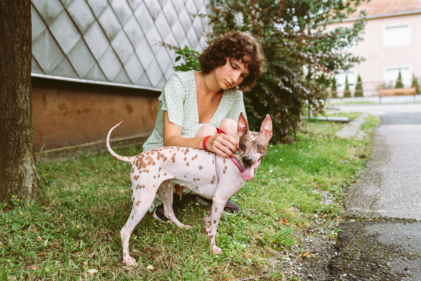Attractive teenager girl with brown curly hair walks pet, dog rare breed american hairless terrier, summer season, european town. concept caring and caring for pet, friendship with pets - Photo, Image