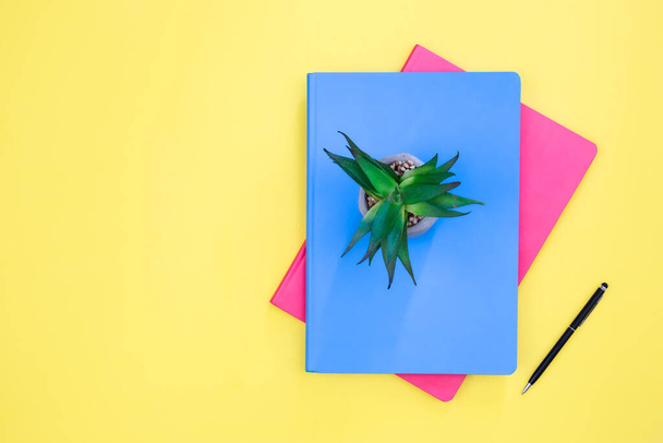 Bright notepads on a yellow background, top view, copy space. - Photo, Image