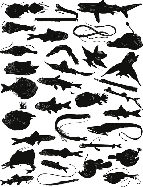 Collection of silhouettes of deep-water fishes - Vektor, Bild