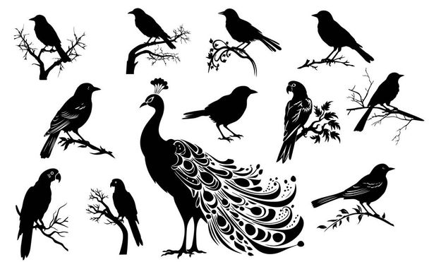 O grande conjunto de silhuetas de pássaros selvagens e ícones. Illustações de pássaro na árvore. - Foto, Imagem