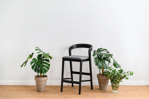 Confortevole sedia nera vicino alle piante di casa verde in vasi di fiori in ceramica in piedi in luminoso soggiorno minimalista. Copia spazio su mobili e verde in appartamento - Foto, immagini