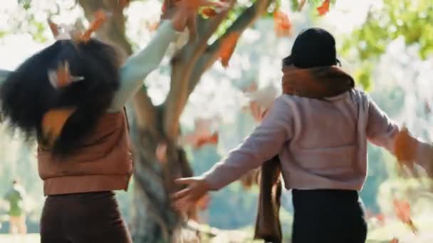 Friends, women and dancing in autumn leaves outdoor in a park with trees, freedom and fun in nature. Happy and excited people together in warm clothes while playful on adventure, travel or holiday. - Footage, Video