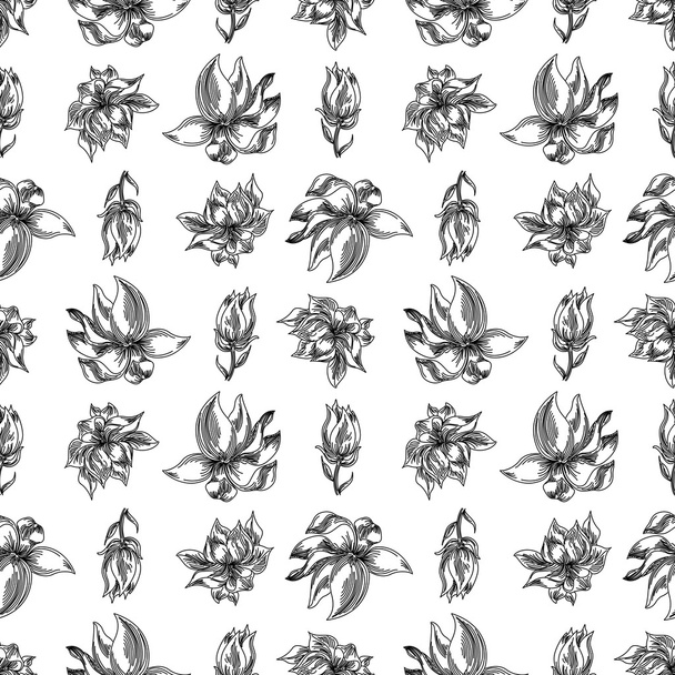 マグノリアのシームレス花柄背景 - ベクター画像