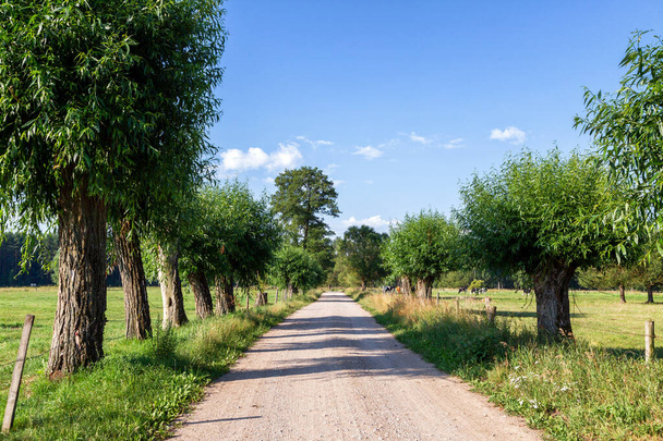 Krása venkovské krajiny. Léto v Podlasii, Polsko - Fotografie, Obrázek