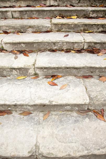 Листья на старой лестнице
 - Фото, изображение