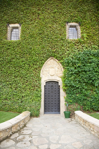 Like a face wall door of Peralada castle - Φωτογραφία, εικόνα