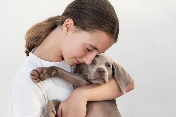 Tyttö halaa Weimaraner-pentuaan. Ehdoton rakkaus koiriin. Lemmikkieläinten hoitoa. Pentujen suojaava vaisto - Valokuva, kuva