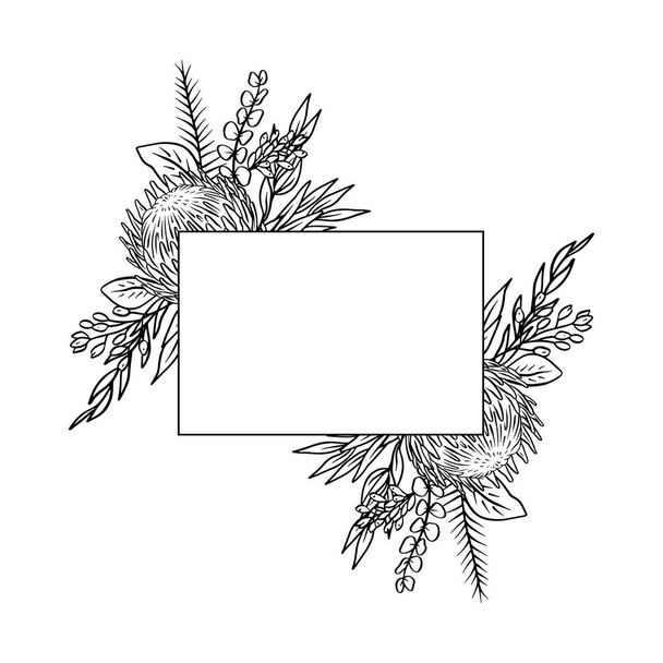 El çizimi monokrom çizgisi sanat protea çiçeği tropikal dikdörtgen yatay çerçeve. Çiçekli tebrik kartı şablonu - Vektör, Görsel