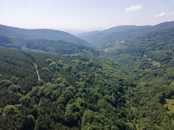 Amazing Summer Landscape of Erul mountain near Kamenititsa peak, Pernik Region, Bulgaria - Valokuva, kuva