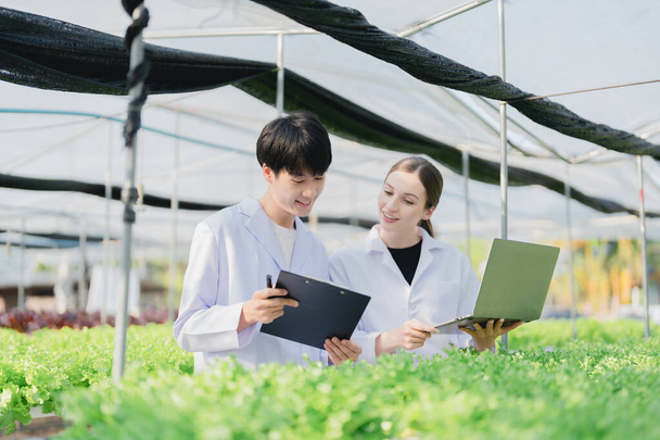 Female and male Farmer harvesting vegetable and audit quality from hydroponics farm. Organic fresh vegetable, Farmer working with hydroponic vegetables garden harvesting, small business concepts - Foto, Imagem