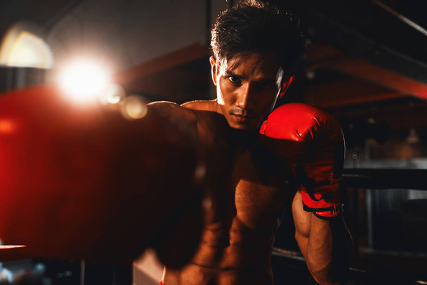 Muay Thai bokser uderzyć pięść przed kamerą w gotowy do walki pozycji pozowanie na siłowni ze sprzętem bokserskim w tle. Ukierunkowane oczy determinacji i przygotować się do wyzwania. Impetus - Zdjęcie, obraz